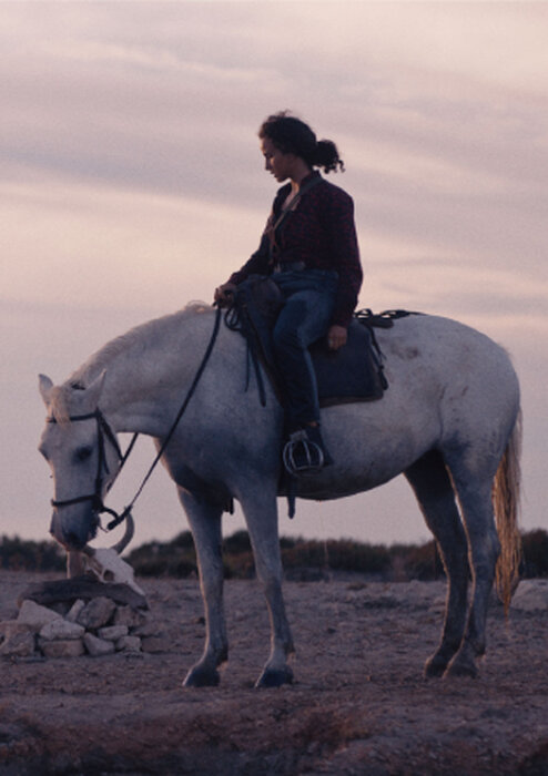 Animale: Býčí zápasy, ženská síla a temné proměny